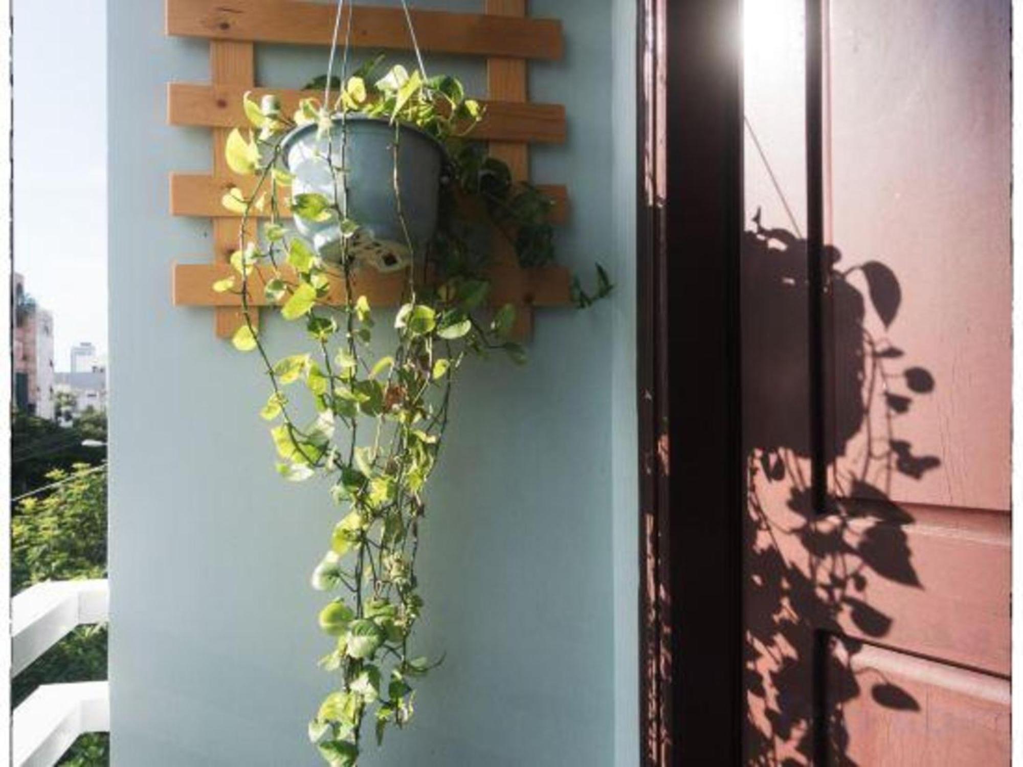 Oyo 1168 Elly'S Home 2 Đà Nẵng Kültér fotó