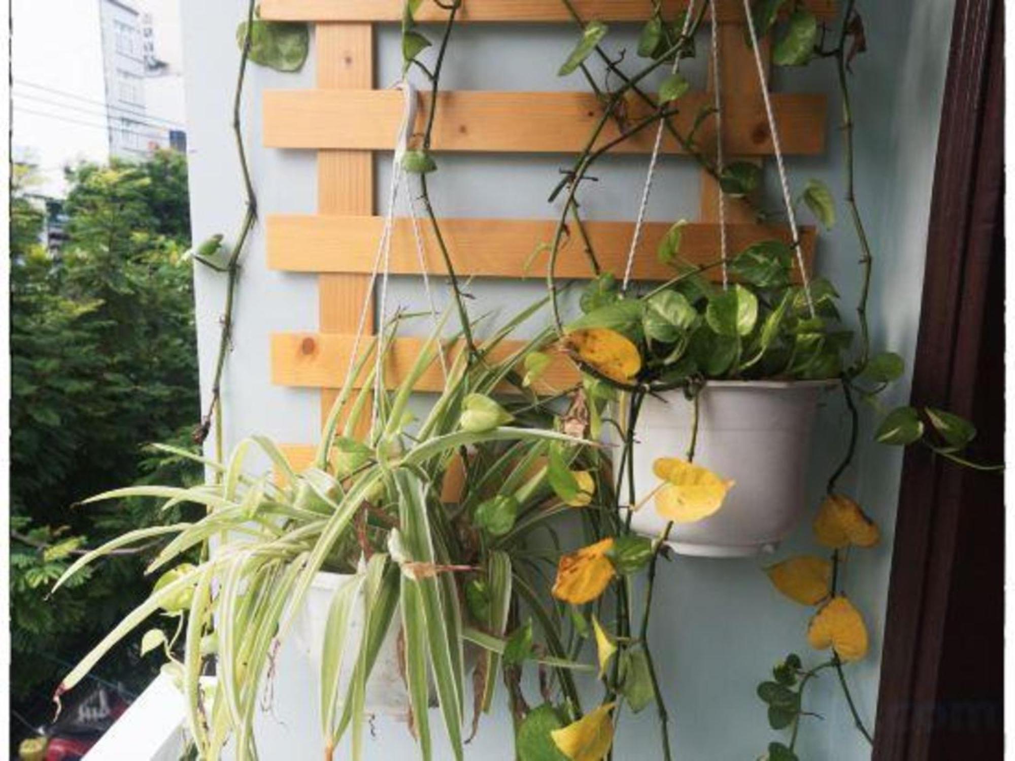 Oyo 1168 Elly'S Home 2 Đà Nẵng Kültér fotó